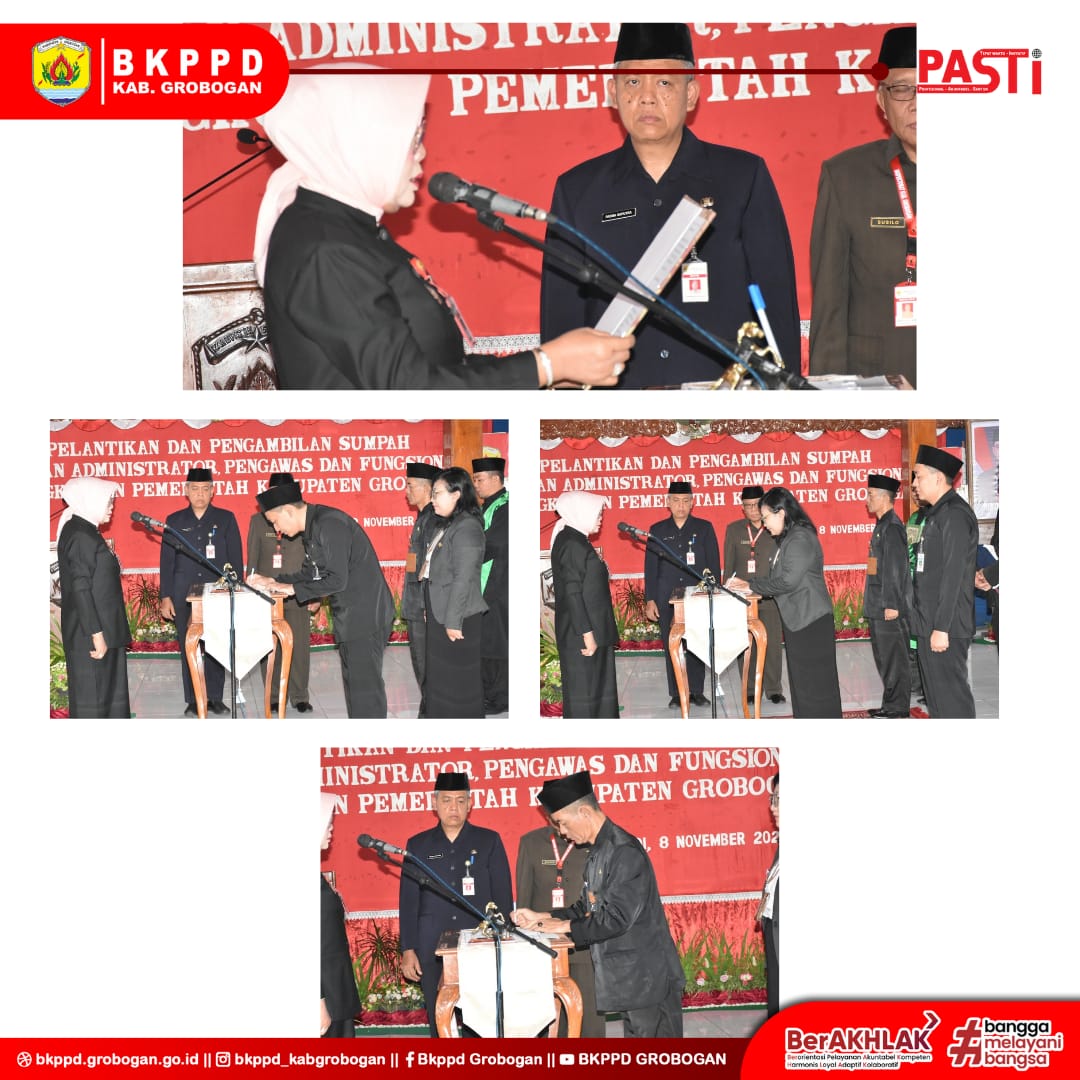 WhatsApp Image 2024 11 08 at 15.12.31